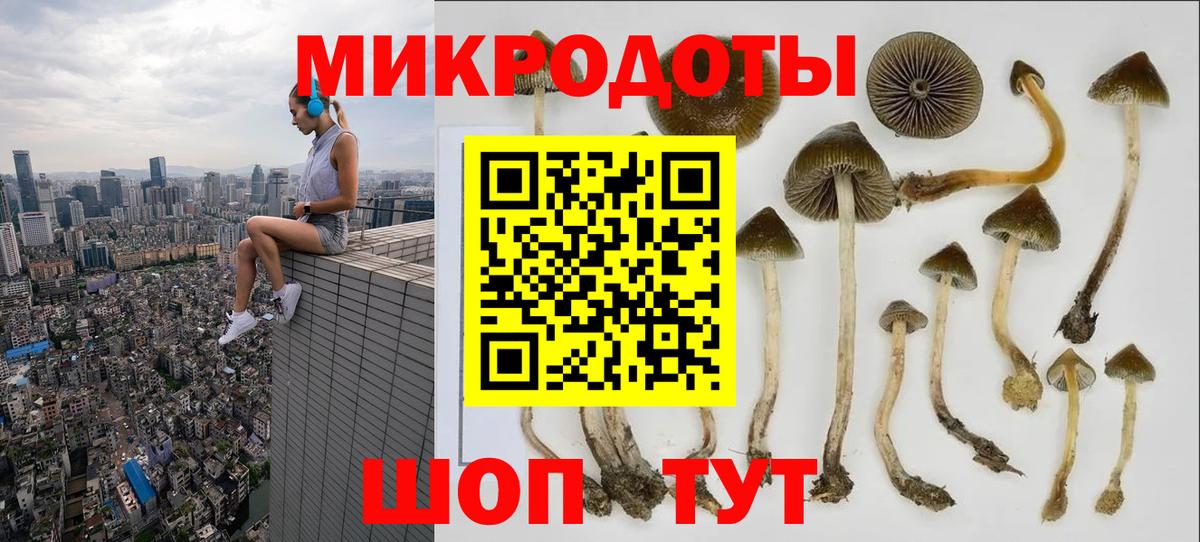 купить закладку  Вход с VPN  Псилоцибиновые грибы прущие грибы  Воронеж  Псилоцибиновые грибы GOLDEN TEACHER 