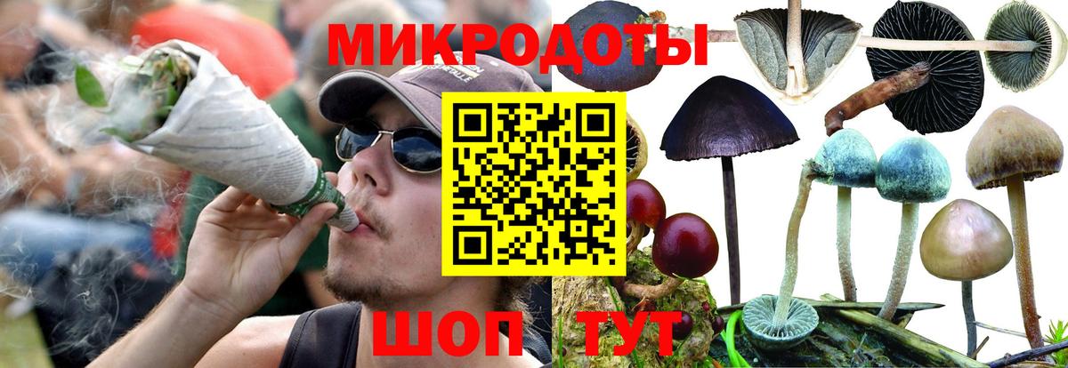 Псилоцибиновые грибы прущие грибы Воронеж